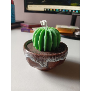 Vela Cactus | Artesanía en Cera de Soja y Aroma Natural – Jessimistica