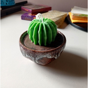 Vela Cactus | Artesanía en Cera de Soja y Aroma Natural – Jessimistica
