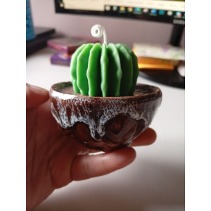 Vela Cactus | Artesanía en Cera de Soja y Aroma Natural – Jessimistica