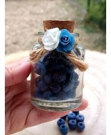 Arándanos de Cera Aromática de Soja