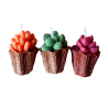 Pack de Velas Mini Suculentas