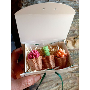 Pack Velas Mini Suculentas – Jessimistica