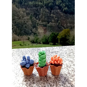 Pack Velas Mini Suculentas – Jessimistica