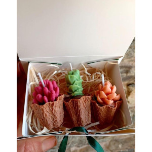 Pack Velas Mini Suculentas – Jessimistica