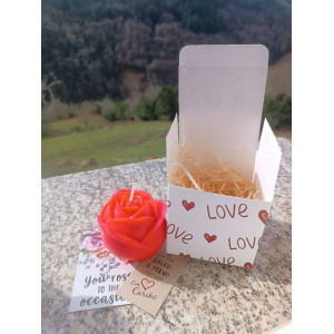 Vela Rosa Pasión – Jessimistica