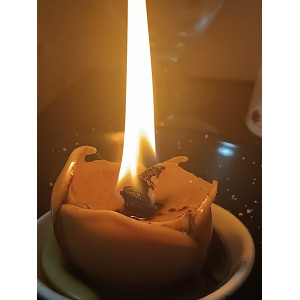 Lectura de Velomancia – Jessimistica