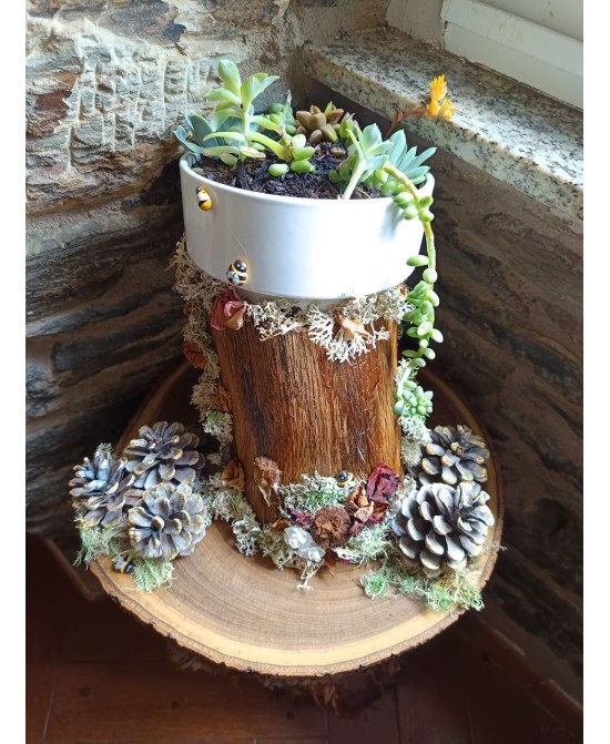 Jardín Decorativo Natural Hecho a Mano