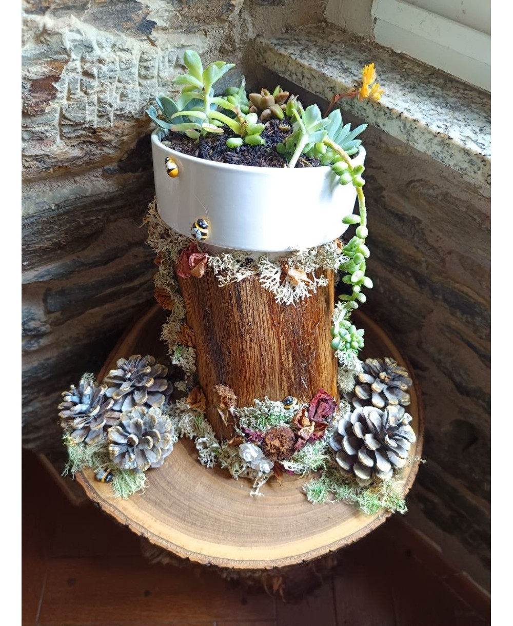 Jardín Decorativo Natural Hecho a Mano