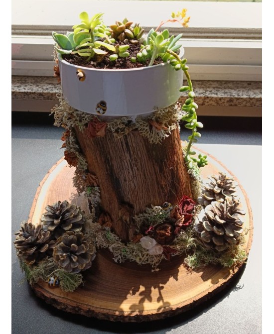 Jardín Decorativo Natural Hecho a Mano