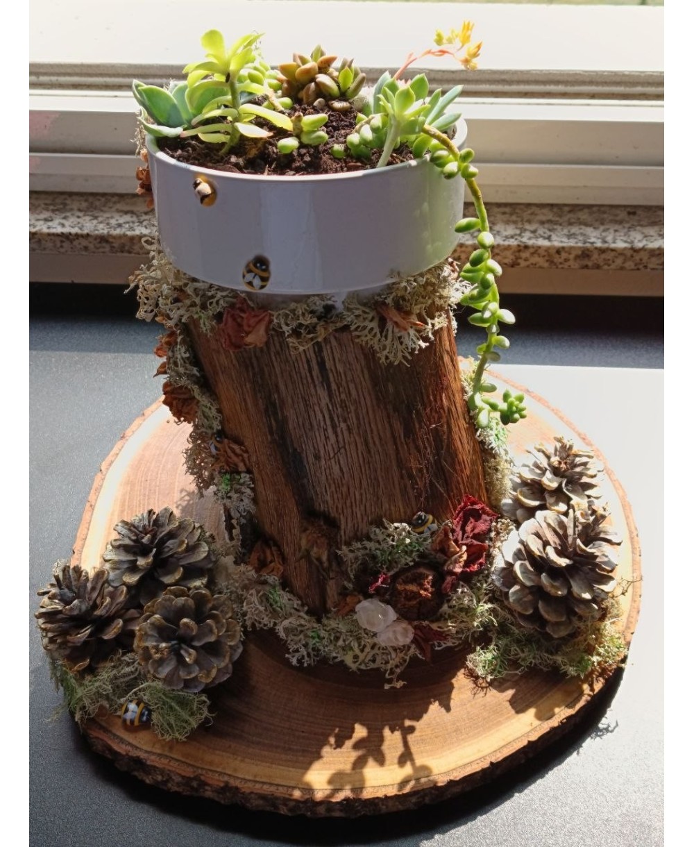 Jardín Decorativo Natural Hecho a Mano