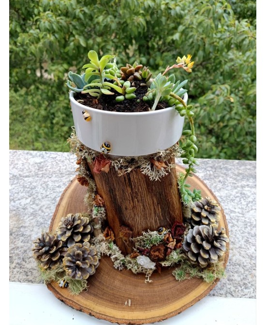 Jardín Decorativo Natural Hecho a Mano