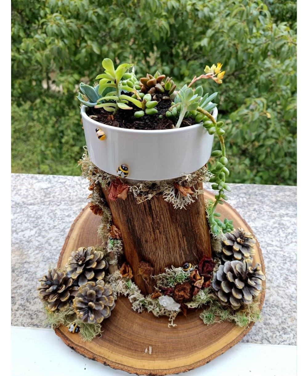 Jardín Decorativo Natural Hecho a Mano