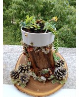 Jardín Decorativo Natural Hecho a Mano