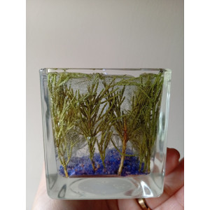 Vela de Gel Bosque Verde Artesanal | Jessimistica