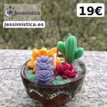 Vela Suculentas Coloridas artesanal en cera de soja – Jessimistica