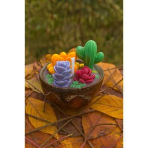 Vela Suculentas Coloridas artesanal en cera de soja – Jessimistica