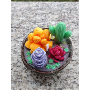 Vela Suculentas Coloridas artesanal en cera de soja – Jessimistica