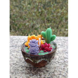 Vela Suculentas Coloridas artesanal en cera de soja – Jessimistica