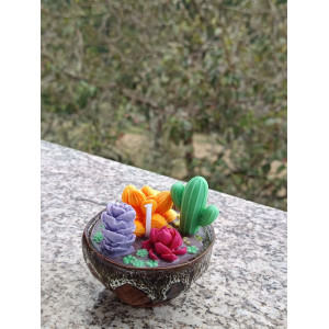Vela Suculentas Coloridas artesanal en cera de soja – Jessimistica