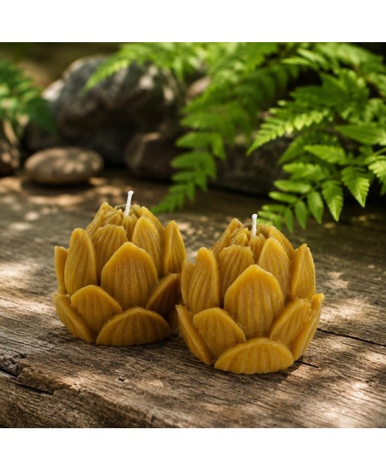 Presentación de dos velas loto de cera de abeja natural sobre superficie decorativa.