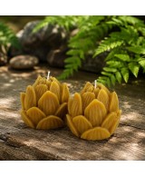 Presentación de dos velas loto de cera de abeja natural sobre superficie decorativa.