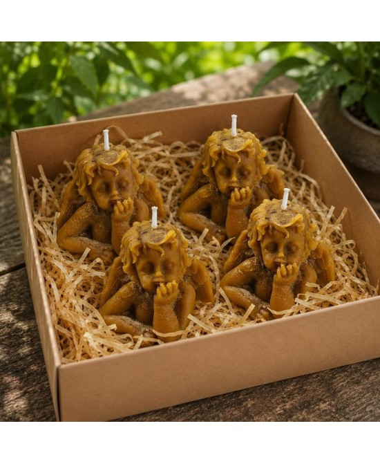Presentación de cuatro velas ángel de cera de abeja en caja con relleno decorativo.