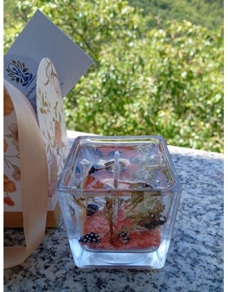 Vela de Gel Estrella de Mar – Magia Marina | Jessimistica
