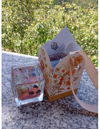 Vela de Gel Estrella de Mar – Magia Marina | Jessimistica