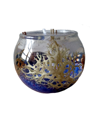 Vela de Gel Bosque Marino | Frescura y Belleza – Jessimistica