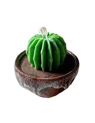 Vela Cactus | Artesanía en Cera de Soja y Aroma Natural – Jessimistica