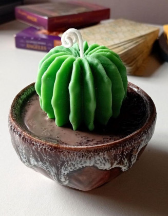 Vela Cactus | Artesanía en Cera de Soja y Aroma Natural – Jessimistica