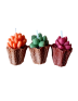 Pack de Velas Mini Suculentas