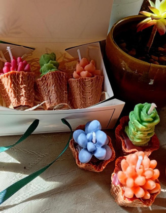 Pack Velas Mini Suculentas – Jessimistica
