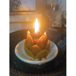 Lectura de Velomancia – Jessimistica