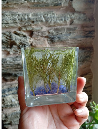 Vela de Gel Bosque Verde Artesanal | Jessimistica