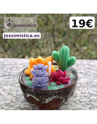 Vela Suculentas Coloridas artesanal en cera de soja – Jessimistica
