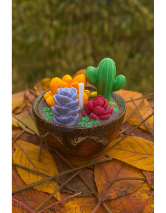 Vela Suculentas Coloridas artesanal en cera de soja – Jessimistica